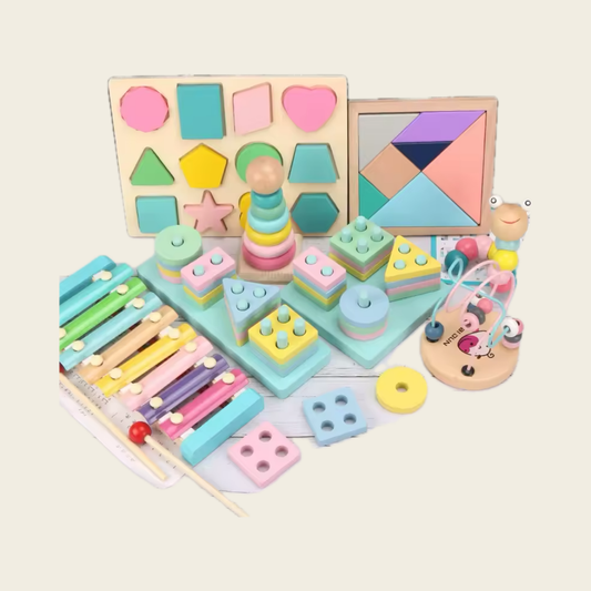 Montessori Wooden Blocks