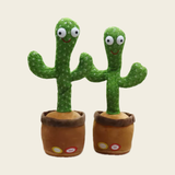 Magic Dancing Cactus