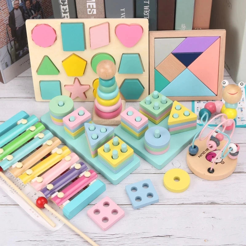 Montessori Wooden Blocks