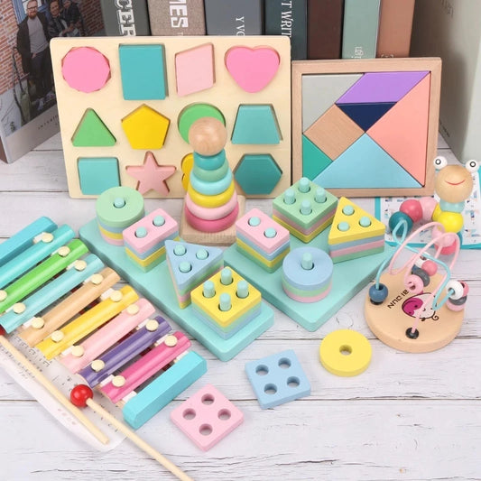 Montessori Wooden Blocks