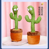 Magic Dancing Cactus