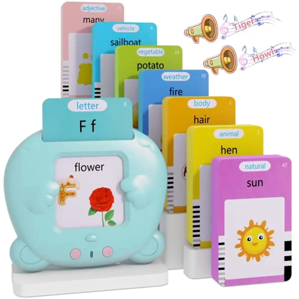 Interactive Learning Flash Cards