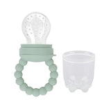 Baby Fruit Teether & Feeder
