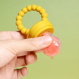 Baby Fruit Teether & Feeder