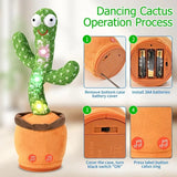 Dancing Cactus Toy
