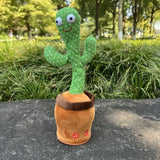 Magic Dancing Cactus