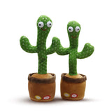 Magic Dancing Cactus