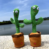 Magic Dancing Cactus